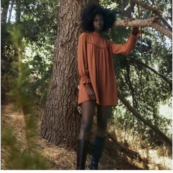 Reformation Jourdan Long Sleeve Mini Dress in Cinnamon Brown Sz Small - Picture 3 of 10